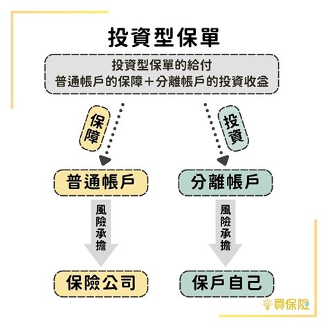 投資型保單甲乙丙丁戊|投資型保單是什麼？適合哪些人？購買前先了解這些重。